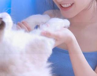 那天我点了51cg4.me的链接，直接乐出声！