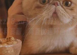 脑洞大开！tttzzz18.su的黑料资源，简直比连环画还好看！