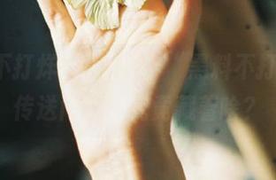 网址直击“黑料不打烊”，传送门背后究竟藏着啥？
