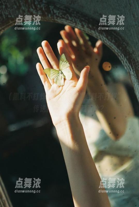 网址直击“黑料不打烊”，传送门背后究竟藏着啥？