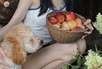 不可思议的内幕都在这里！“黑料网址”发布的点滴就像迷雾