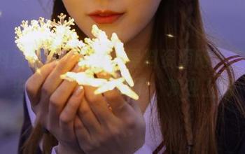 听说“黑料资源网”在线历史讲解员，开课了，欢迎上课